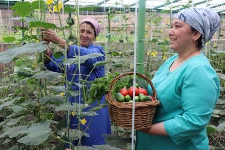 Women in a greenhouse holding a basket of vegetables  AI-generated content may be incorrect.