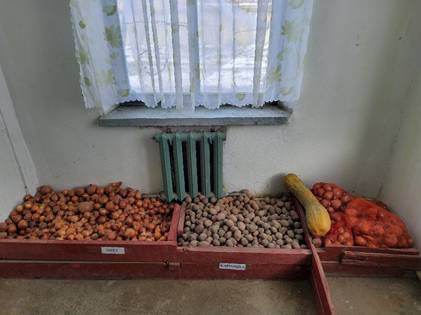 A group of vegetables in a room  AI-generated content may be incorrect.